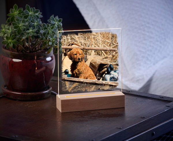 Pup Commander  Golden Retriever  Acrylic Night Light - Official Ducks Unlimited Art