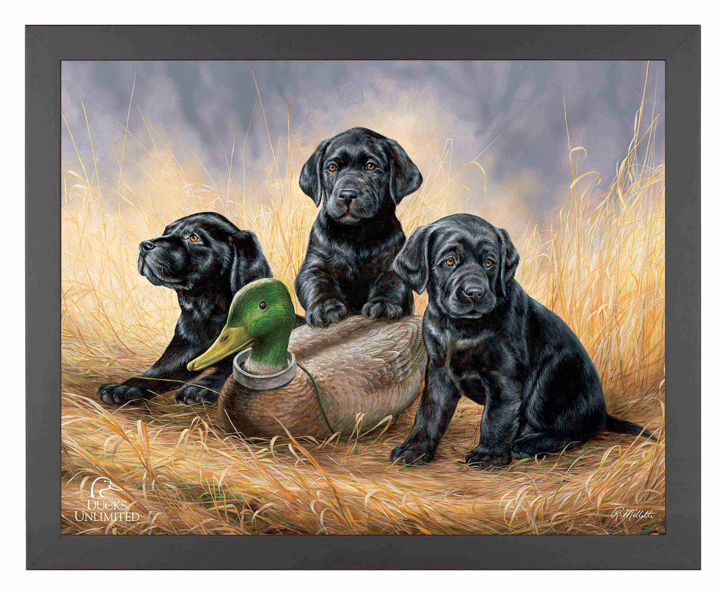 Ready for Class - Black Lab Puppies Art Prints - Official Ducks Unlimited Art