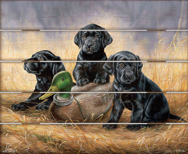 Ready for Class - Black Lab Puppies 18" x 22" Pallet Wall Art - Official Ducks Unlimited