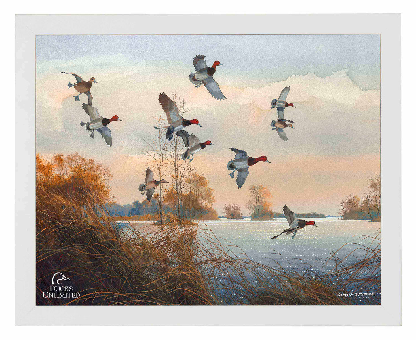 Redheads Redoubt Art Prints - Official Ducks Unlimited Art