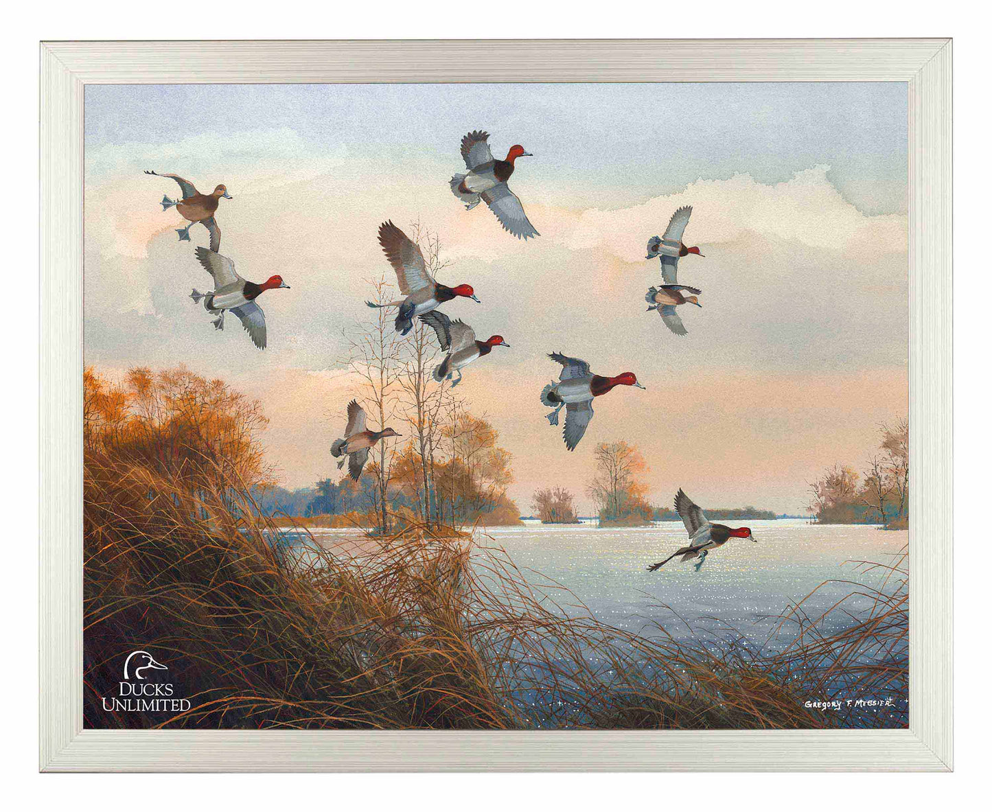 Redheads Redoubt Art Prints - Official Ducks Unlimited Art