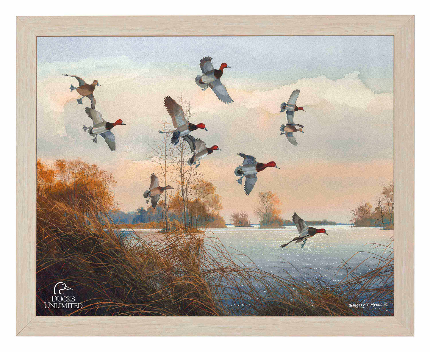 Redheads Redoubt Art Prints - Official Ducks Unlimited Art