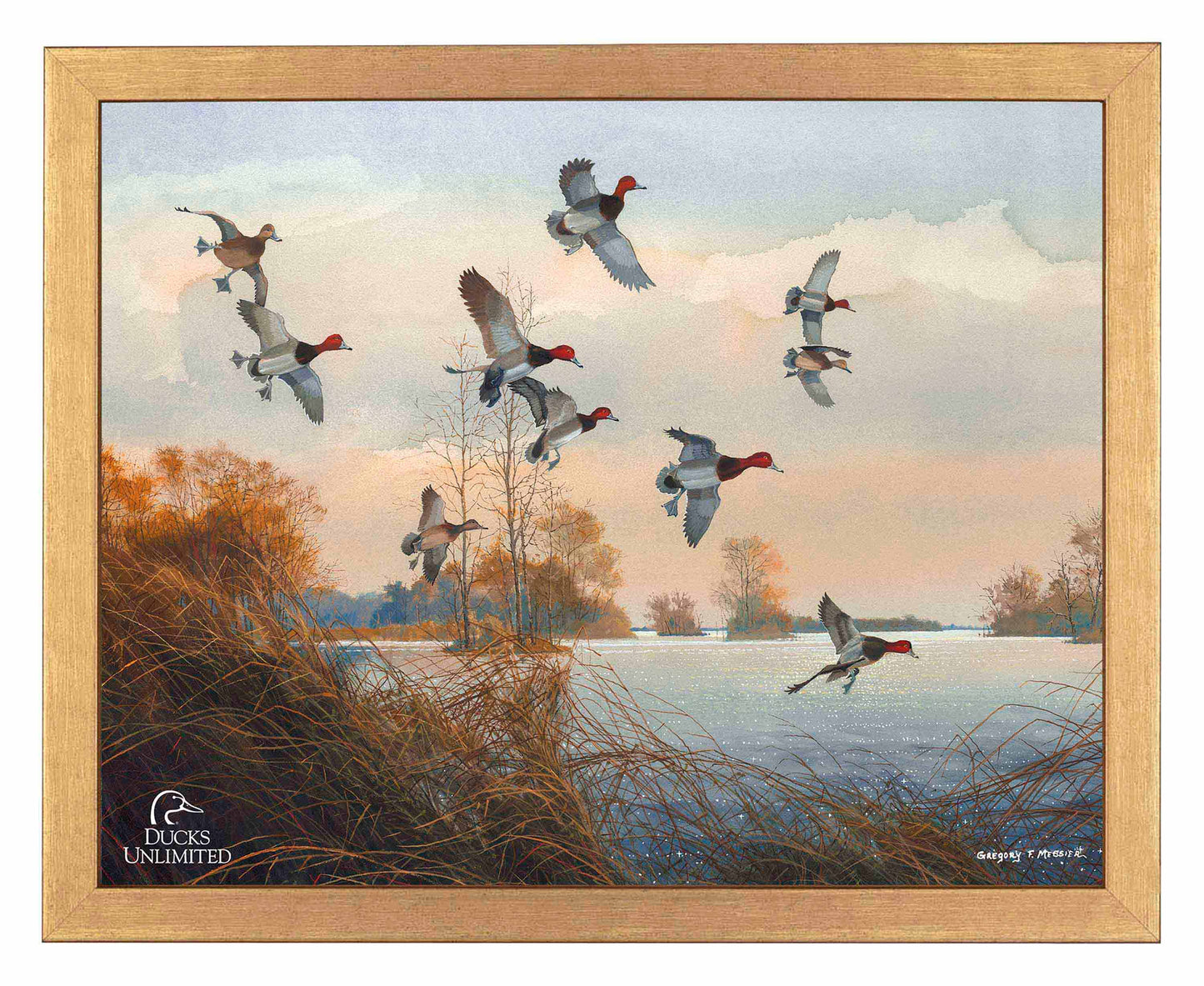 Redheads Redoubt Art Prints - Official Ducks Unlimited Art