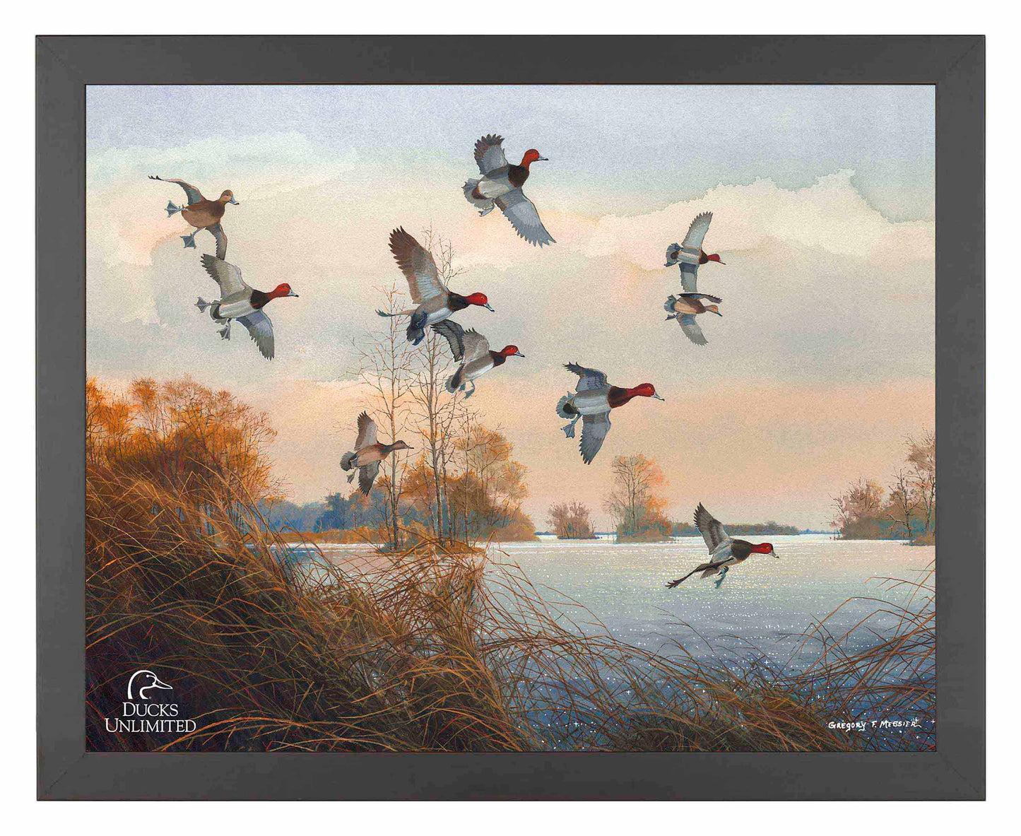 Redheads Redoubt Art Prints - Official Ducks Unlimited Art