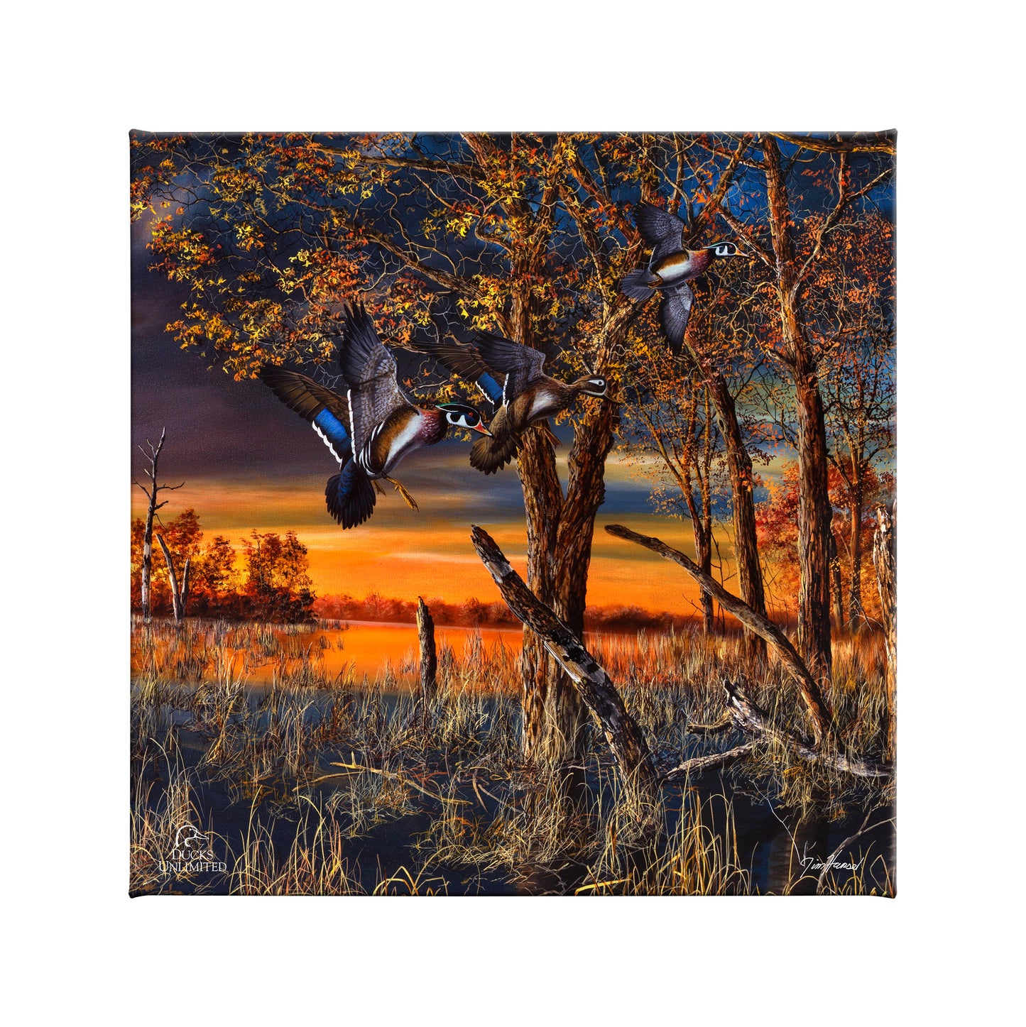Return to the Refuge Gallery Wrapped Canvas - Official Ducks Unlimited Art