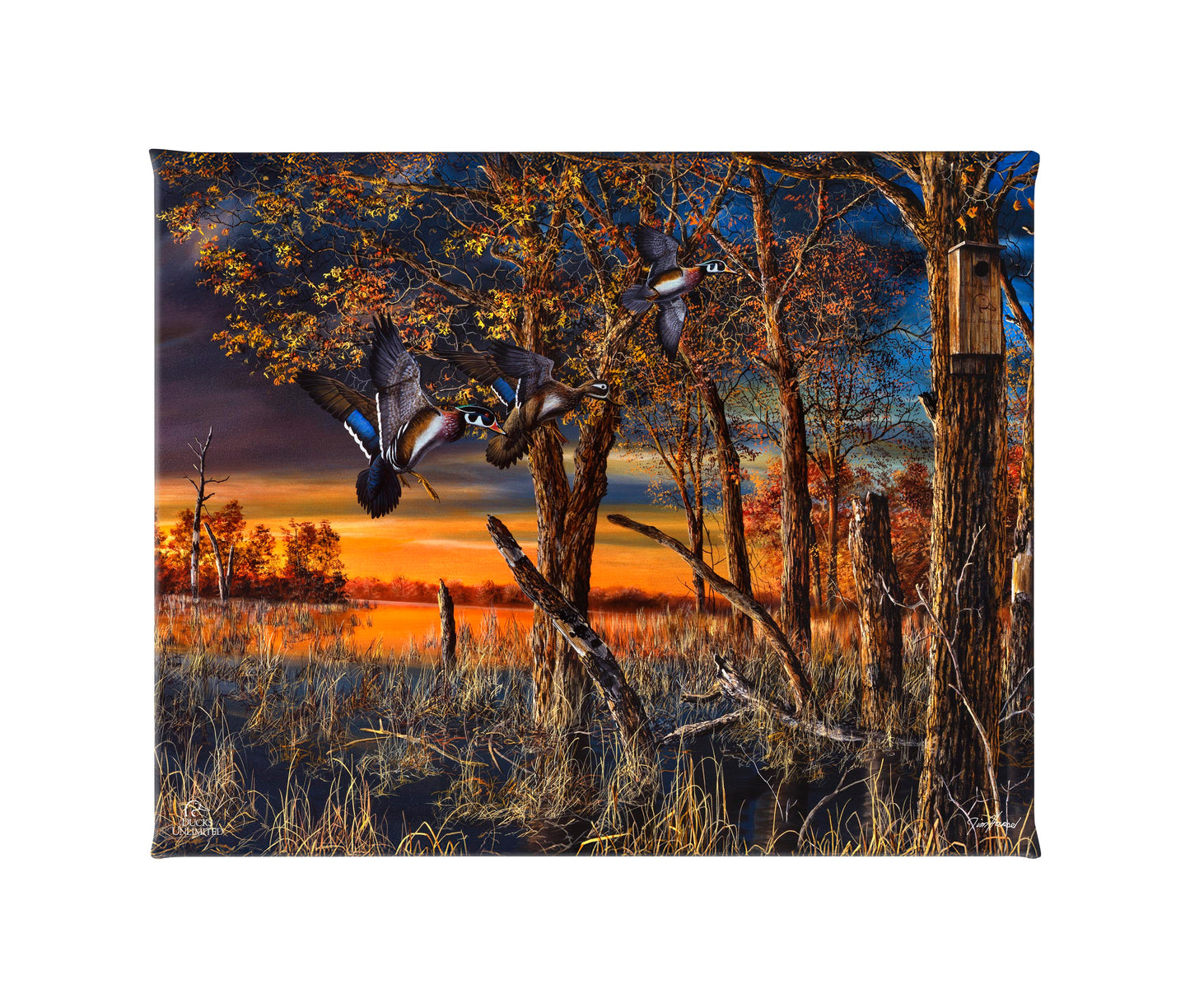 Return to the Refuge Gallery Wrapped Canvas - Official Ducks Unlimited Art