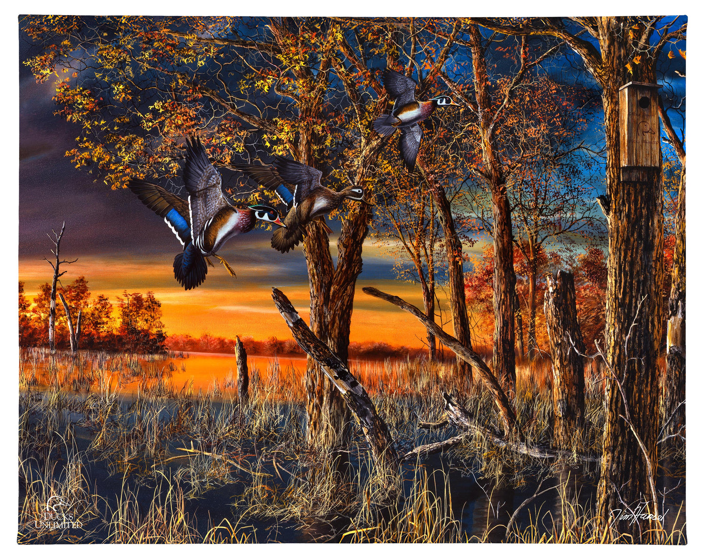 Return to the Refuge Gallery Wrapped Canvas - Official Ducks Unlimited Art