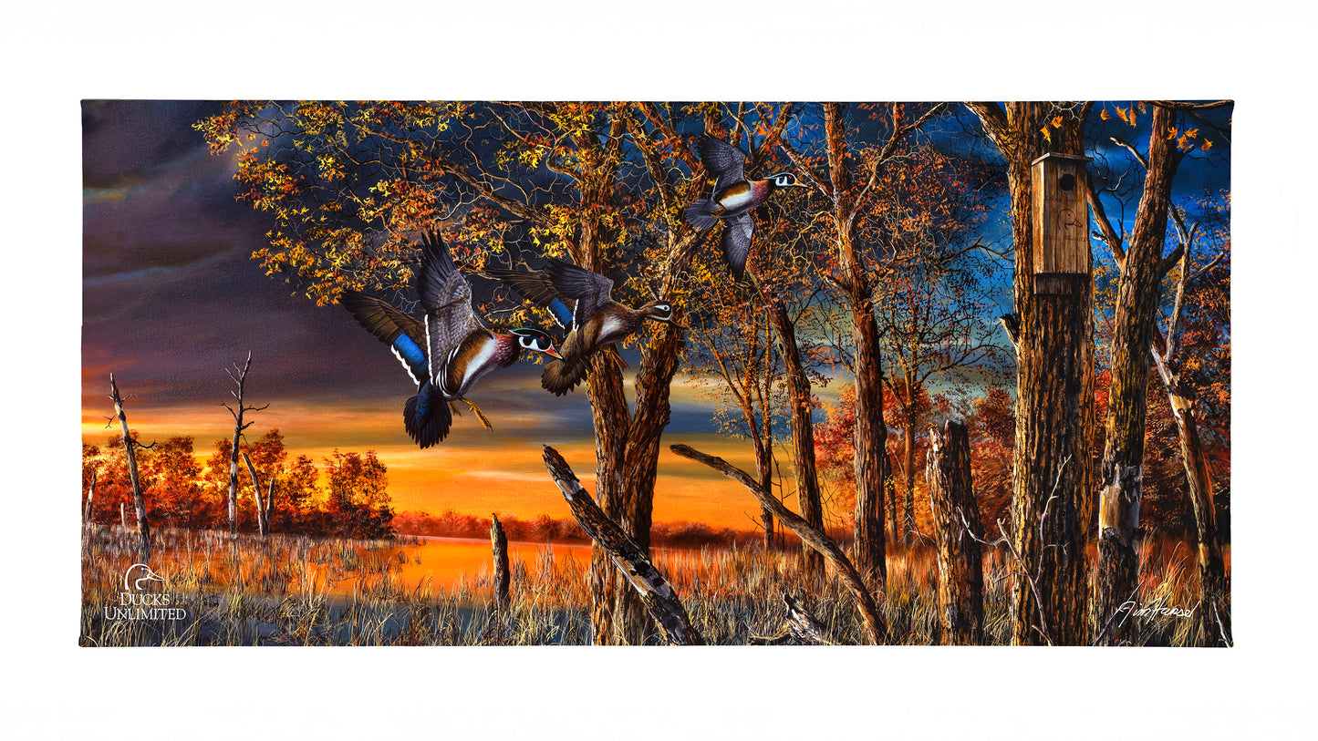 Return to the Refuge Gallery Wrapped Canvas - Official Ducks Unlimited Art