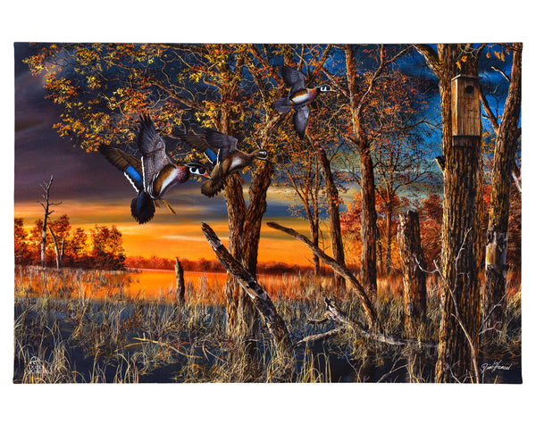 Return to the Refuge Gallery Wrapped Canvas - Official Ducks Unlimited Art