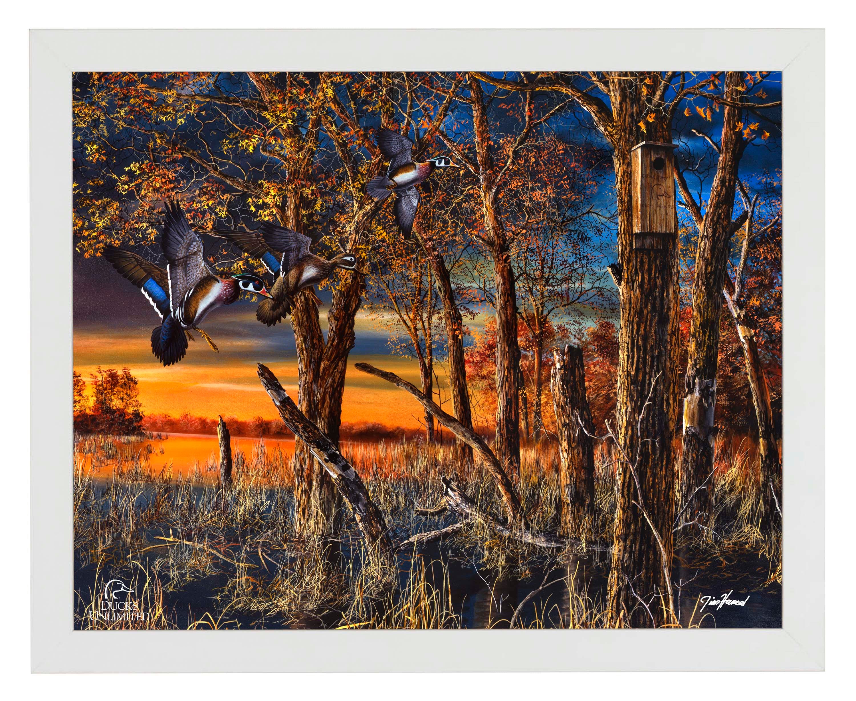 Return to the Refuge Art Prints - Official Ducks Unlimited Art Art