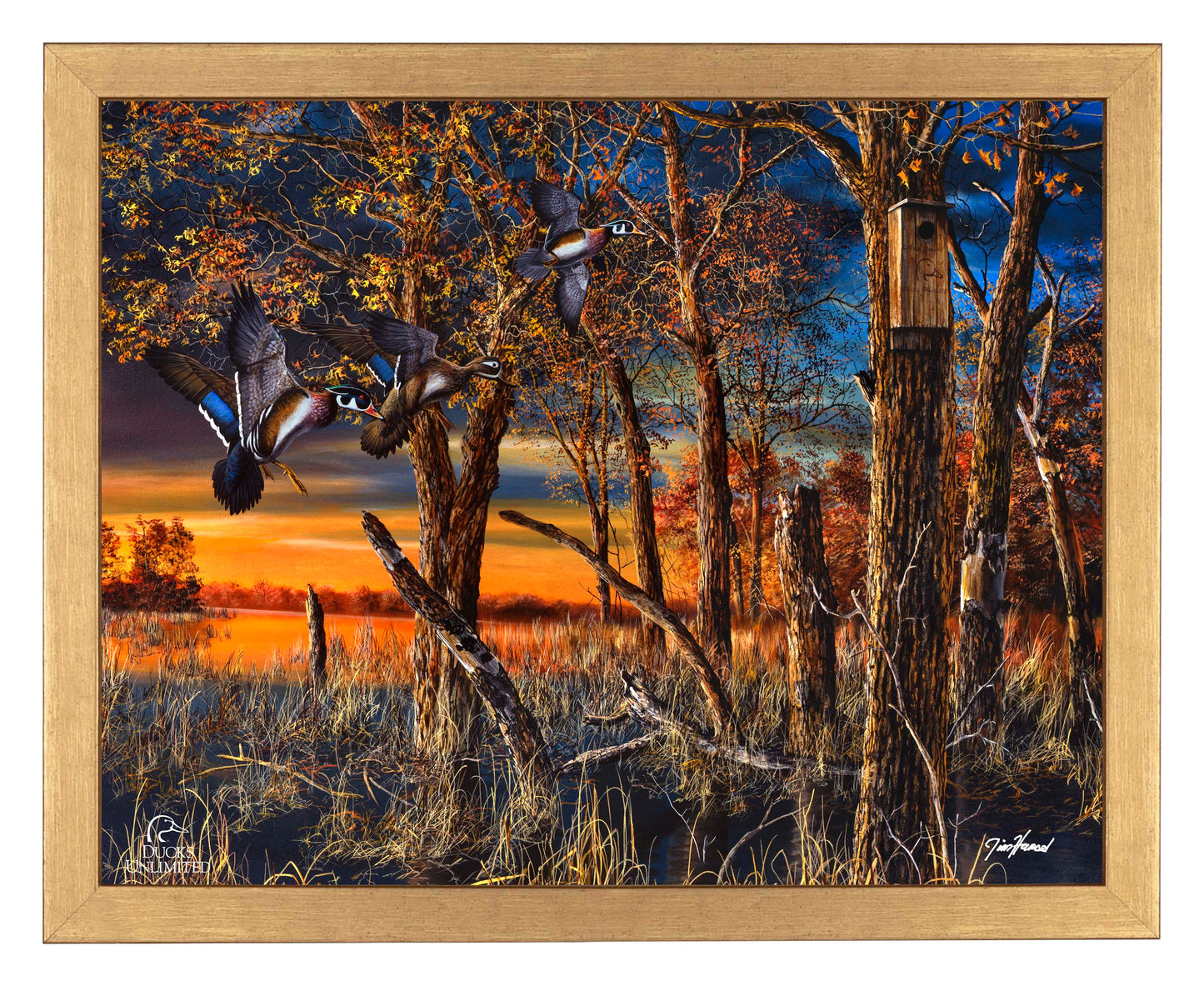 Return to the Refuge  Art Prints - Official Ducks Unlimited Art