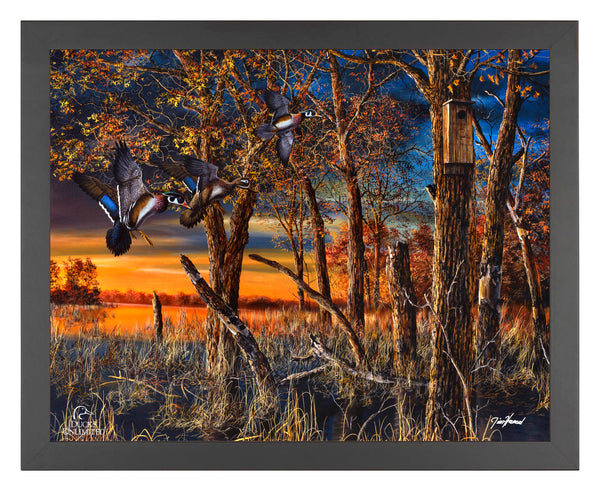 Return to the Refuge  Art Prints - Official Ducks Unlimited Art