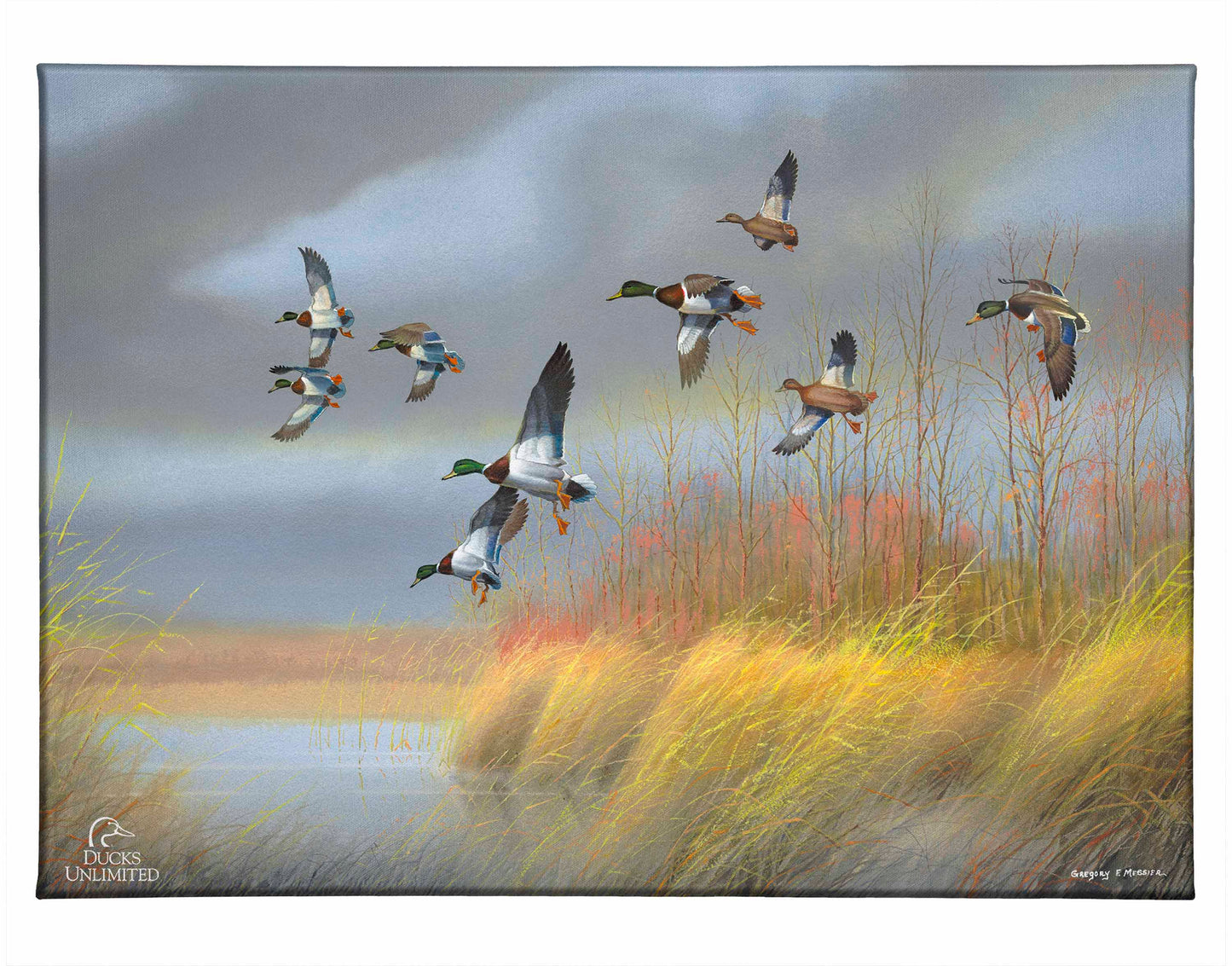 Returning Home Mallards Gallery Wrapped Canvas - Official Ducks Unlimited Art