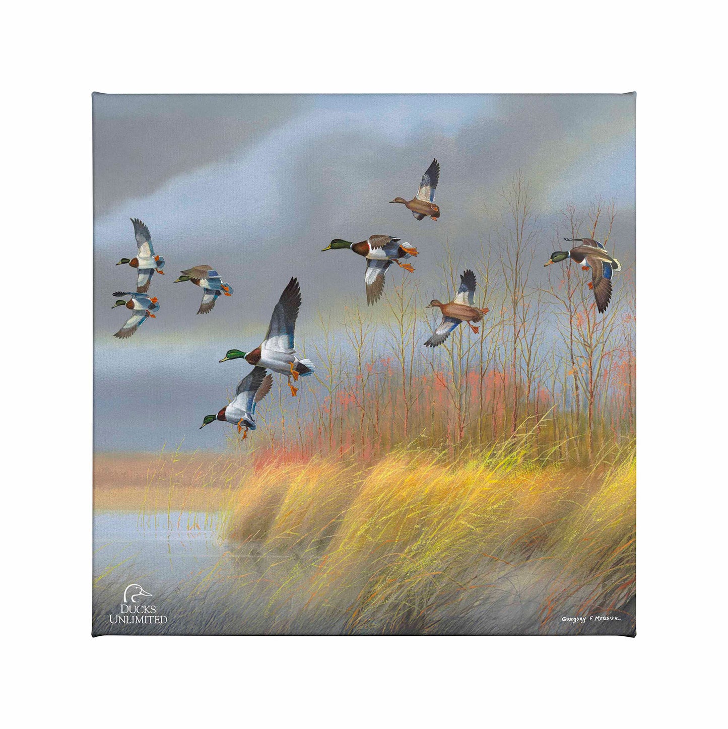 Returning Home Mallards Gallery Wrapped Canvas - Official Ducks Unlimited Art