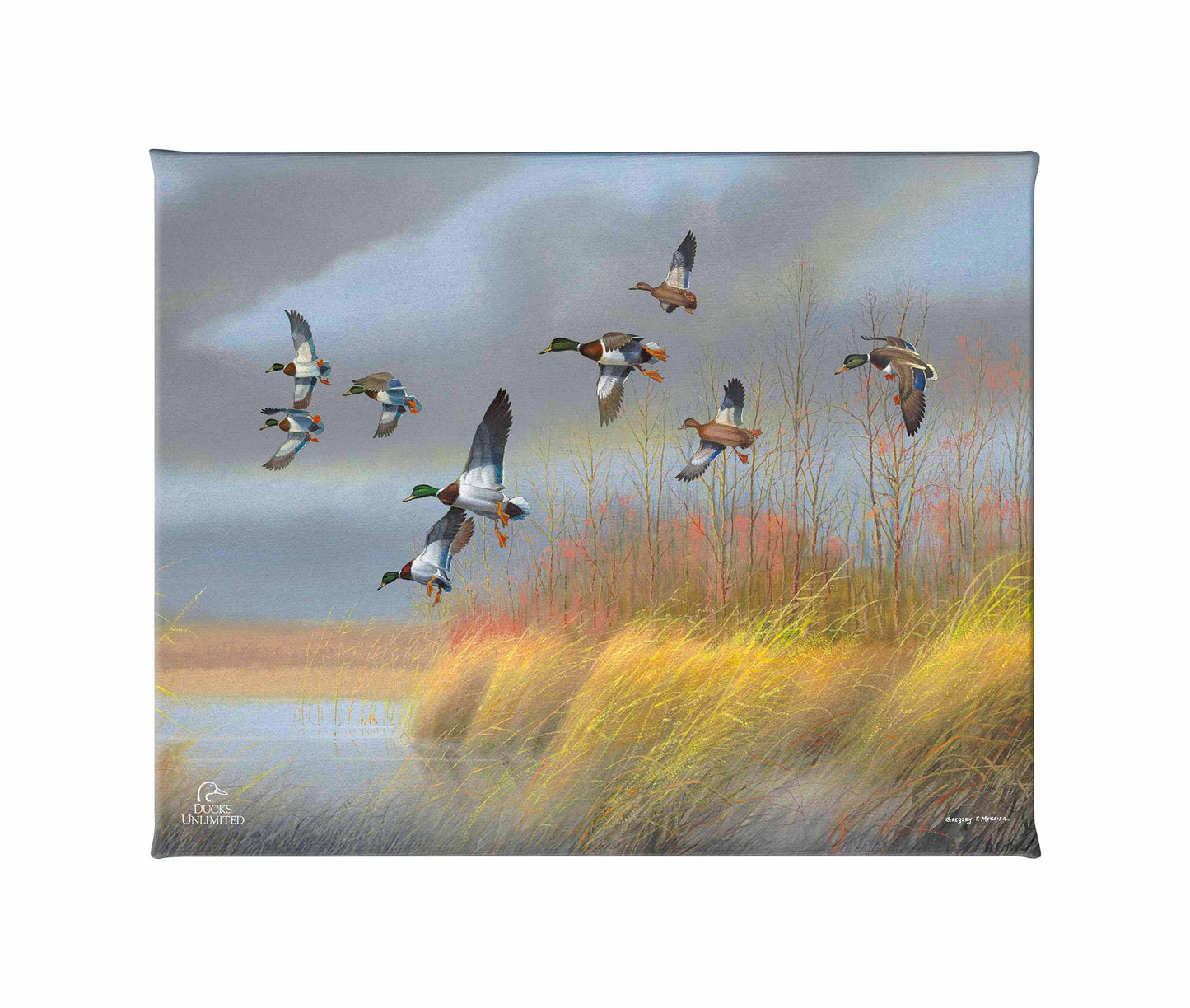 Returning Home Mallards Gallery Wrapped Canvas - Official Ducks Unlimited Art