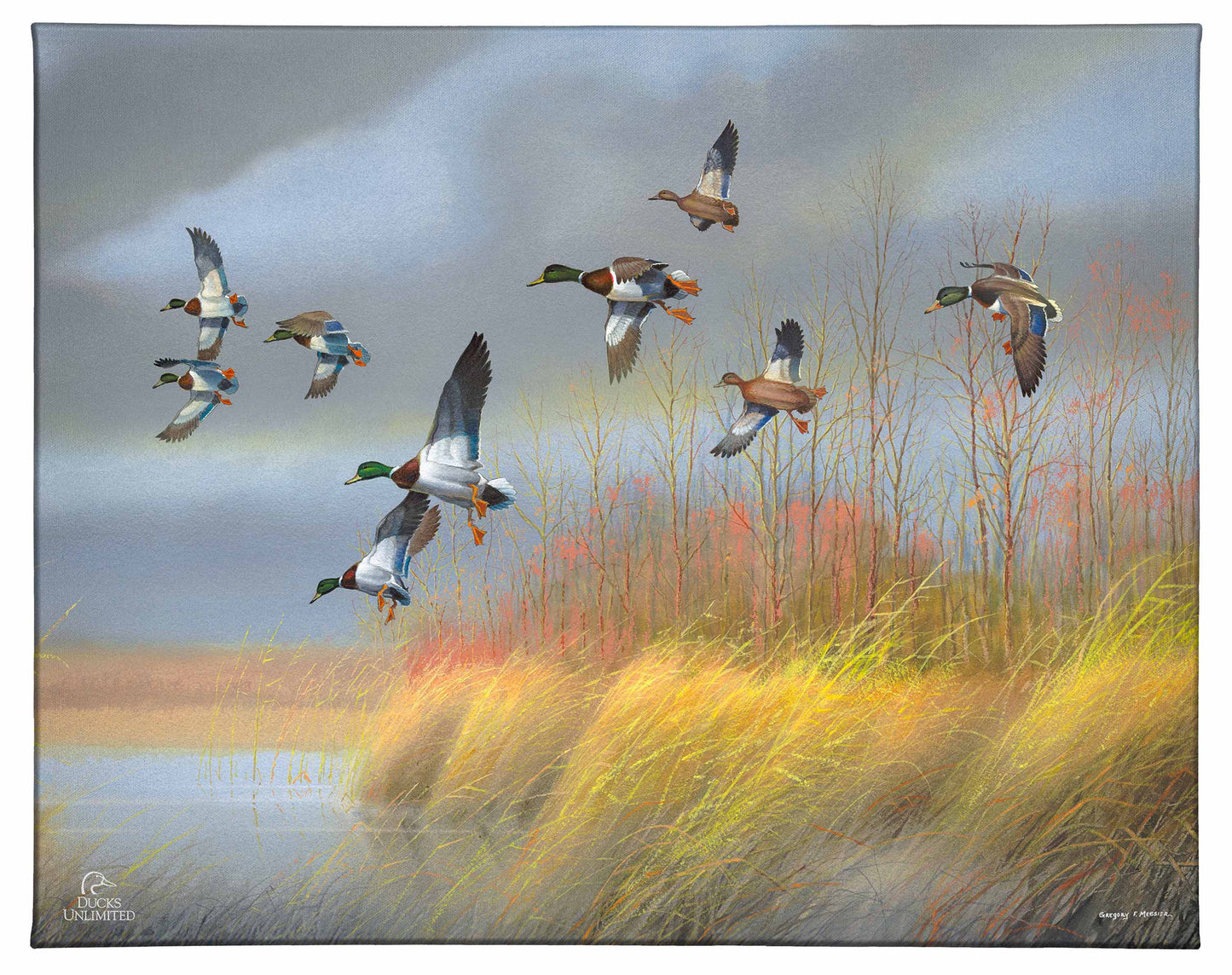 Returning Home Mallards Gallery Wrapped Canvas - Official Ducks Unlimited Art