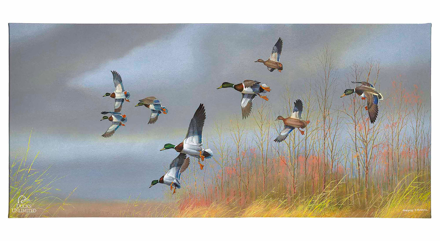 Returning Home Mallards Gallery Wrapped Canvas - Official Ducks Unlimited Art