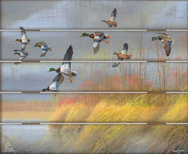 Returning Home  Mallards  18" x 22" Pallet Wall Art - Official Ducks Unlimited Art