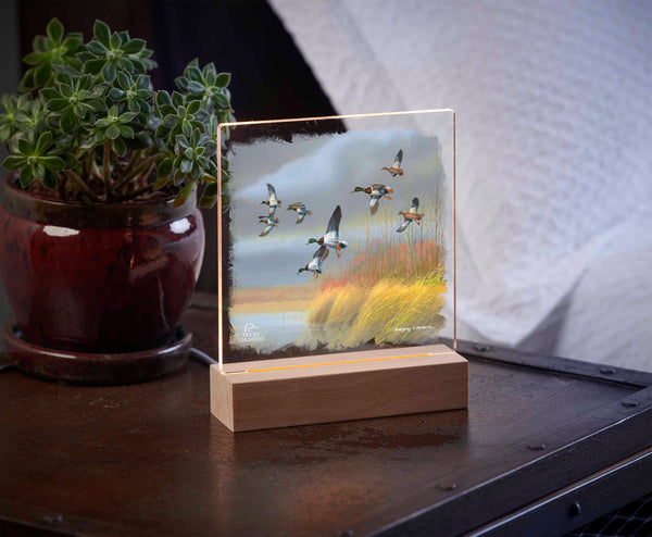 Returning Home  Mallards  Acrylic Night Light - Official Ducks Unlimited Art