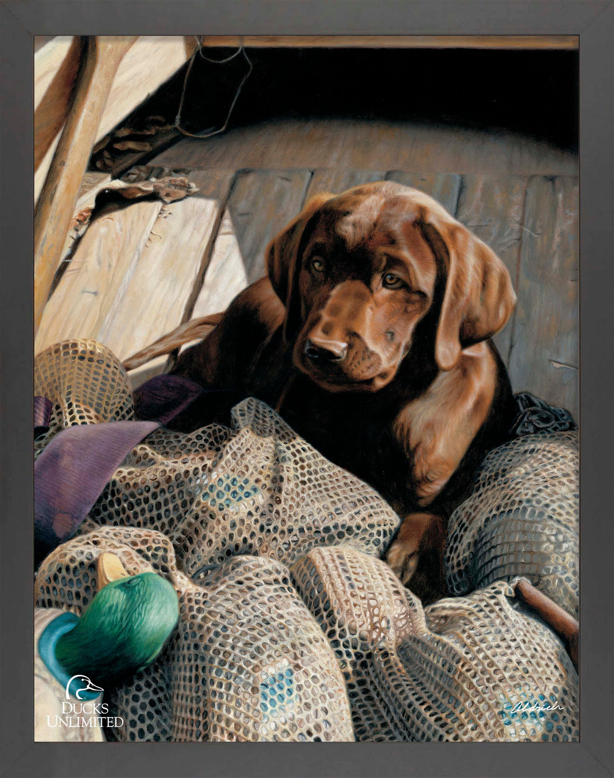 Rookie - Chocolate Lab Art Prints - Official Ducks Unlimited Art