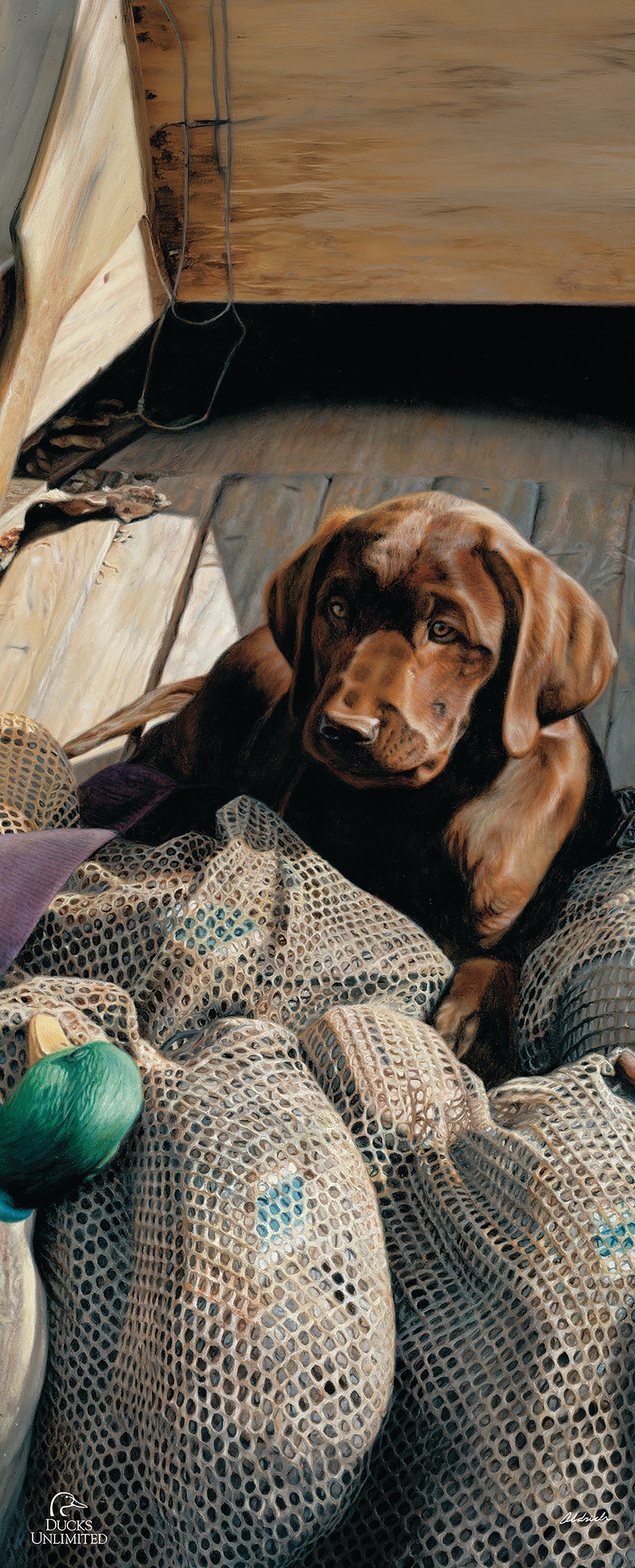 Rookie - Chocolate Lab 12" x 30" Wood Sign - Official Ducks Unlimited Art