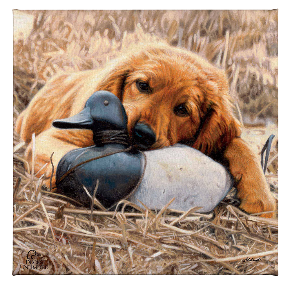 Shore Lunch Gallery Wrapped Canvas - Official Ducks Unlimited Art