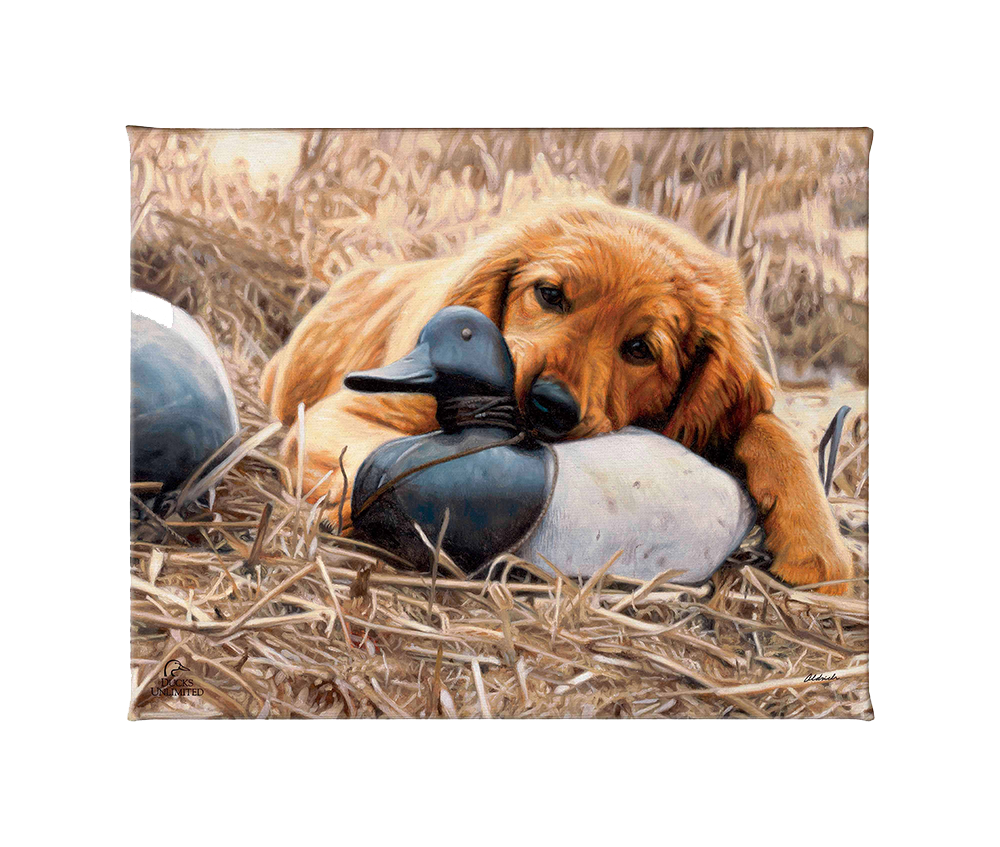 Shore Lunch Gallery Wrapped Canvas - Official Ducks Unlimited Art