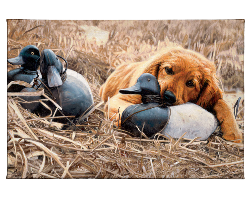 Shore Lunch Gallery Wrapped Canvas - Official Ducks Unlimited Art