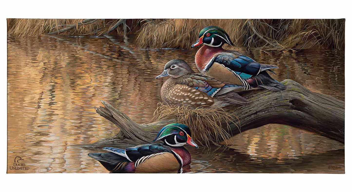 Sitting Pretty Wood Ducks Gallery Wrapped Canvas - Official Ducks Unlimited Art