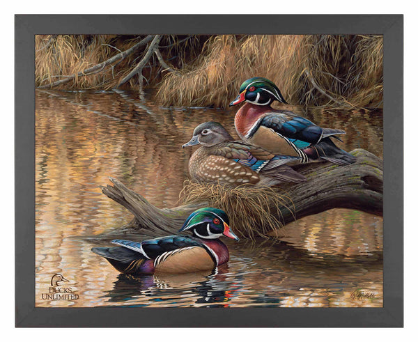 Sitting Pretty  Wood Ducks  Art Prints - Official Ducks Unlimited Art