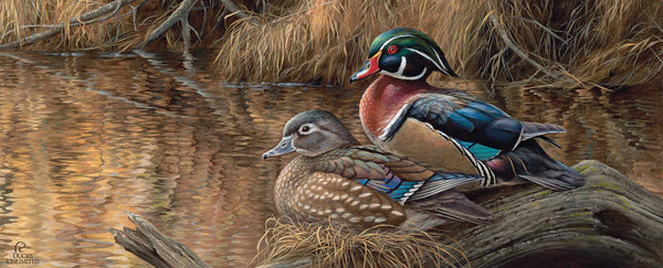 Sitting Pretty  Wood Ducks  12" x 30" Wood Sign - Official Ducks Unlimited Art