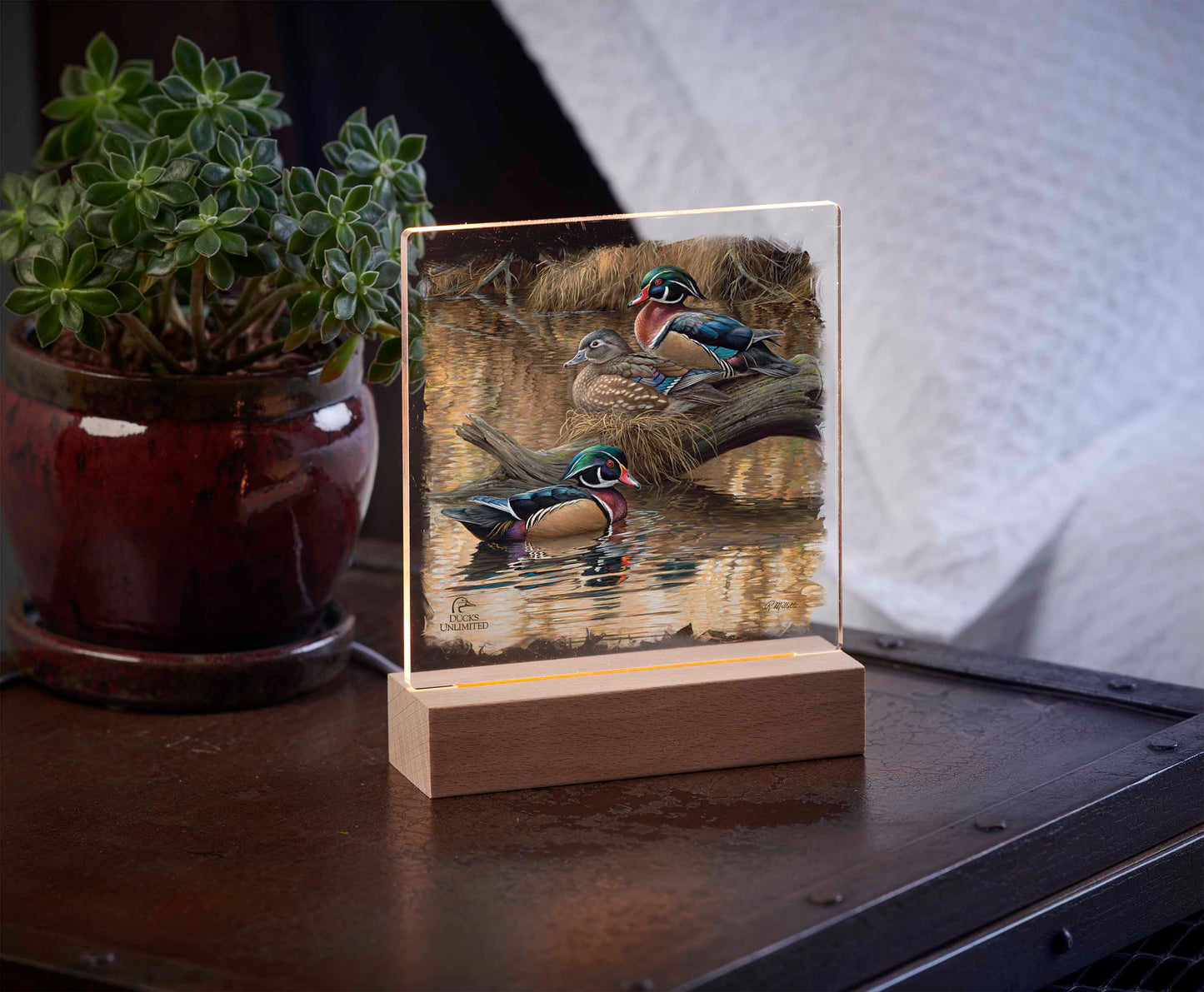 Sitting Pretty  Wood Ducks  Acrylic Night Light - Official Ducks Unlimited Art