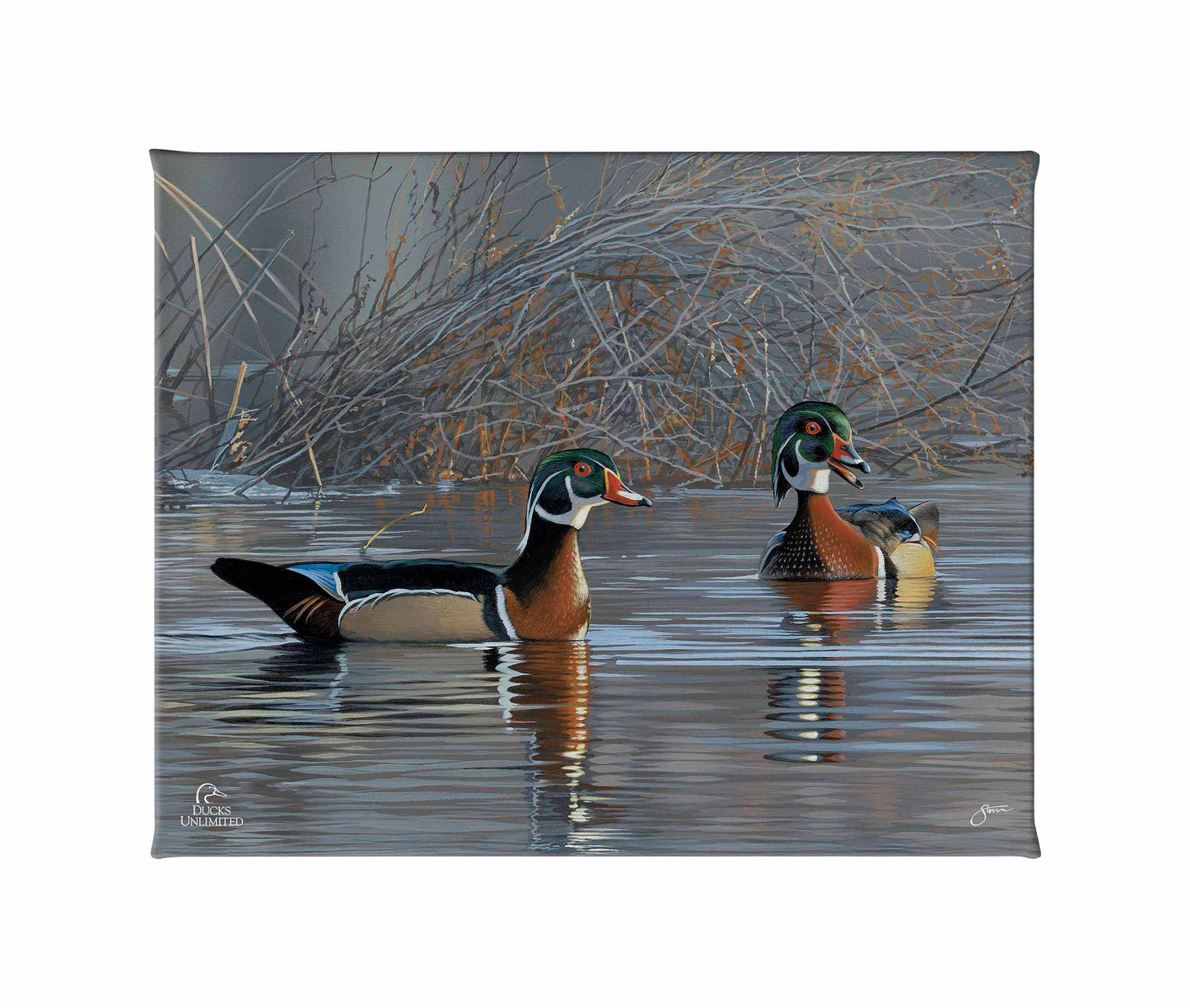 Springtime Chatter Wood Ducks Gallery Wrapped Canvas - Official Ducks Unlimited Art