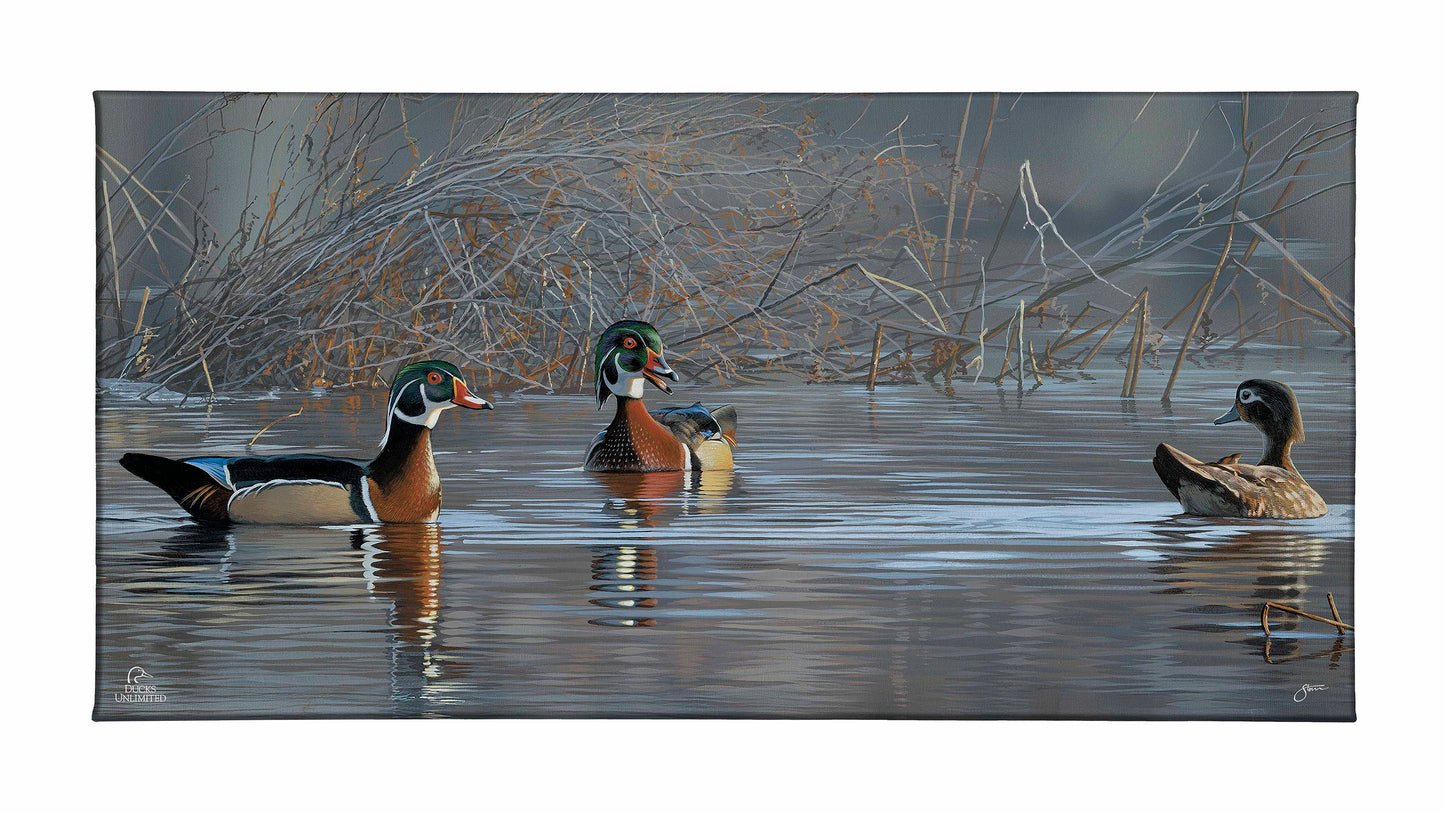 Springtime Chatter Wood Ducks Gallery Wrapped Canvas - Official Ducks Unlimited Art