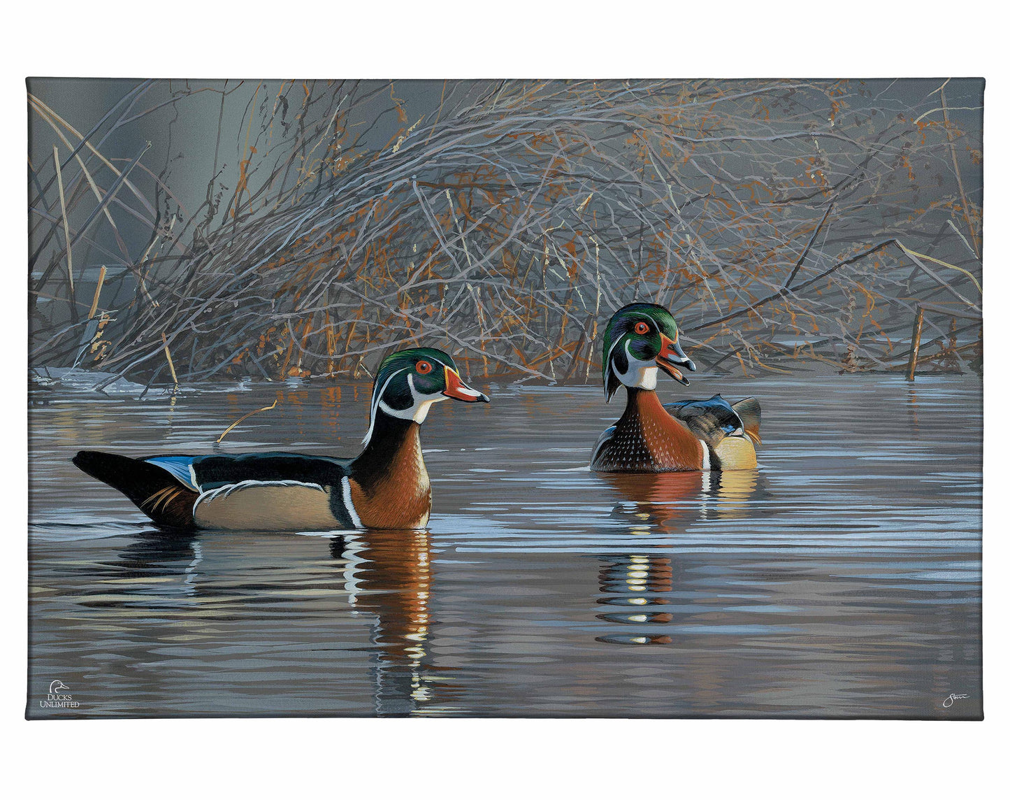 Springtime Chatter Wood Ducks Gallery Wrapped Canvas - Official Ducks Unlimited Art