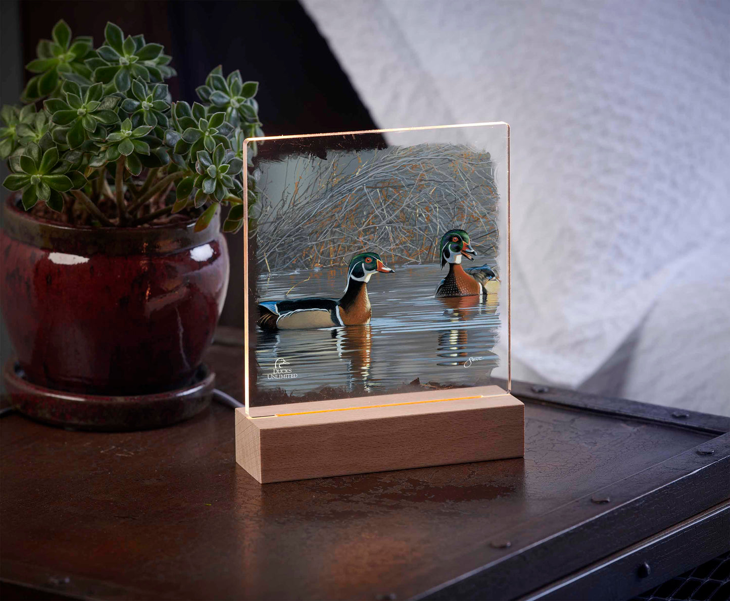 Springtime Chatter Wood Ducks Acrylic Night Light - Official Ducks Unlimited Art