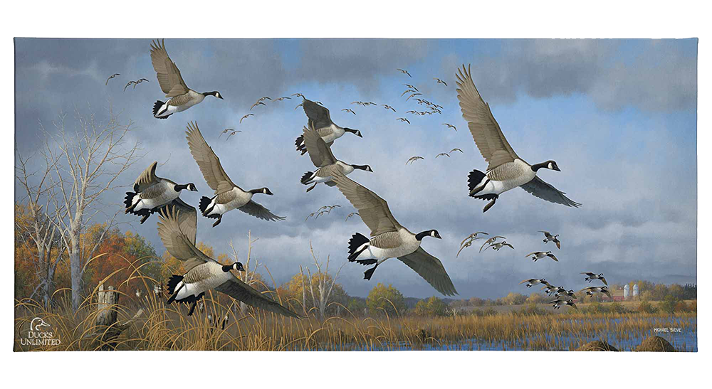Sunset Refuge Canada Geese Gallery Wrapped Canvas - Official Ducks Unlimited Art