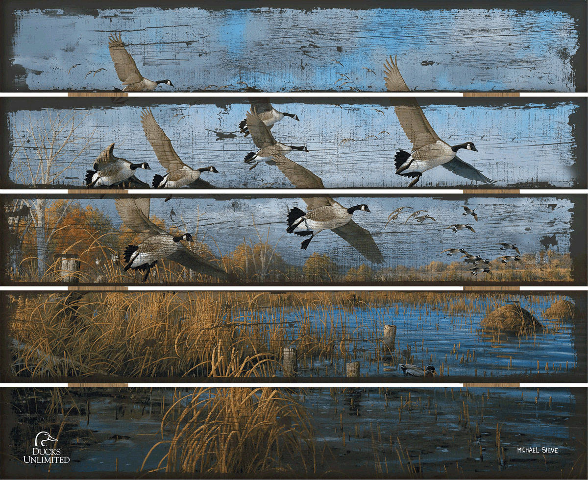 Sunset Refuge Canada Geese 18" x 22" Pallet Wall Art - Official Ducks Unlimited Art