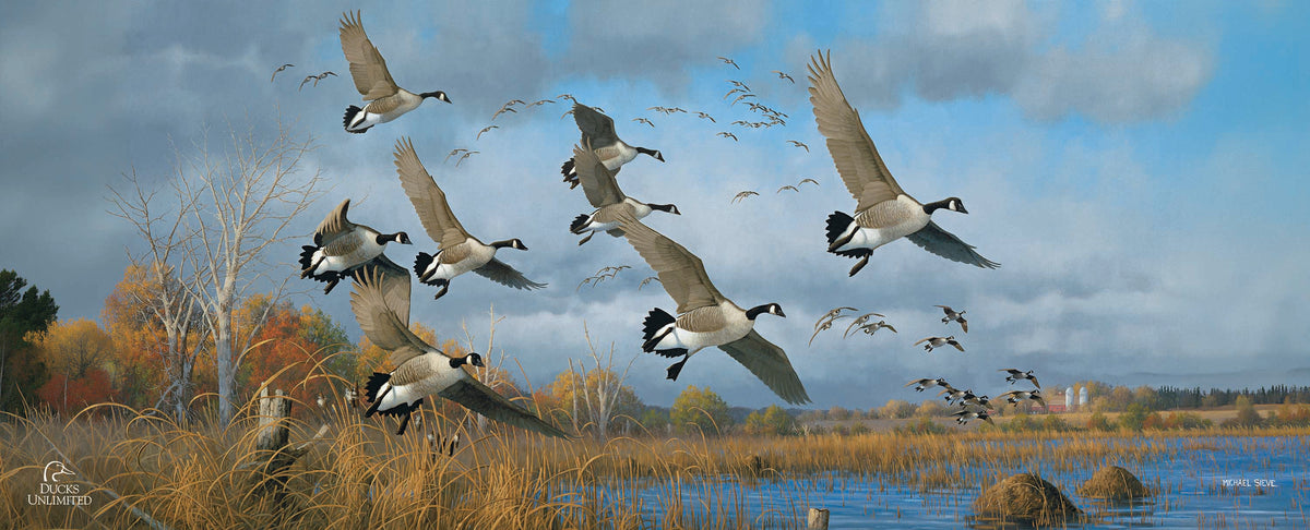 Sunset Refuge Canada Geese 12" x 30" Wood Sign - Official Ducks Unlimited Art