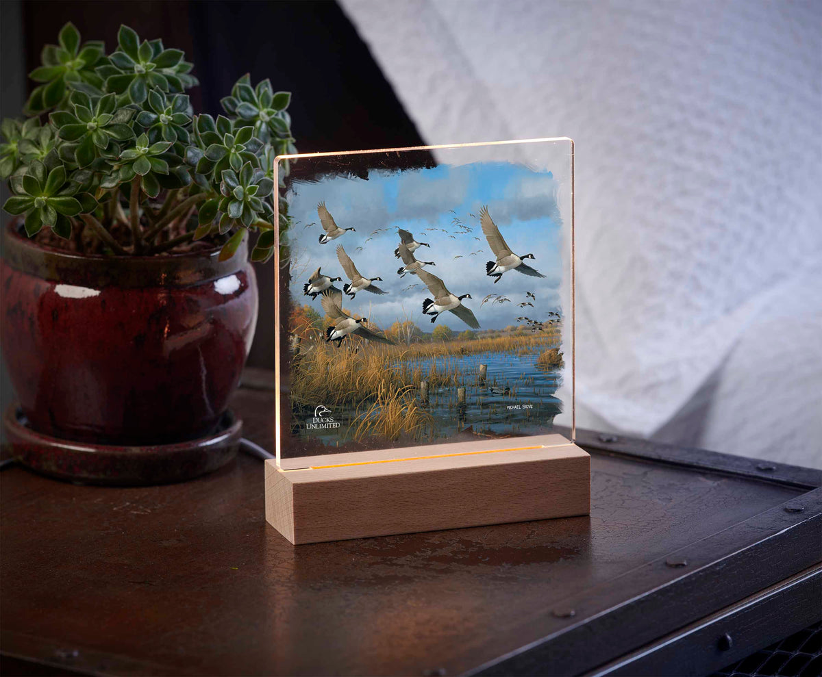 Sunset Refuge Canada Geese 6.37" x 6" Acrylic Night Light - Official Ducks Unlimited Art