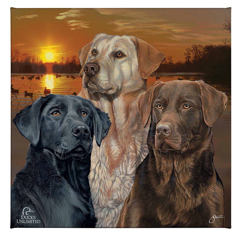 Labrador Retriever Element - Gallery Wrapped Canvas - Official Ducks Unlimited Art
