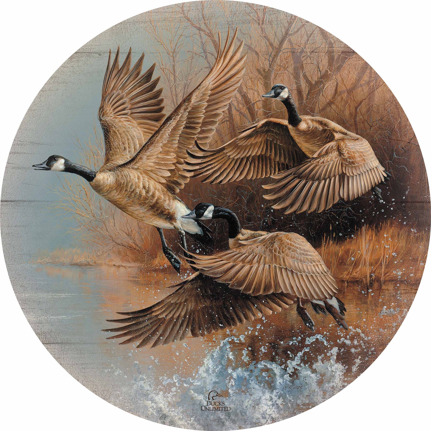 Taking Flight Canada Geese 21" Round Wood Sign - Official Ducks Unlimited Art
