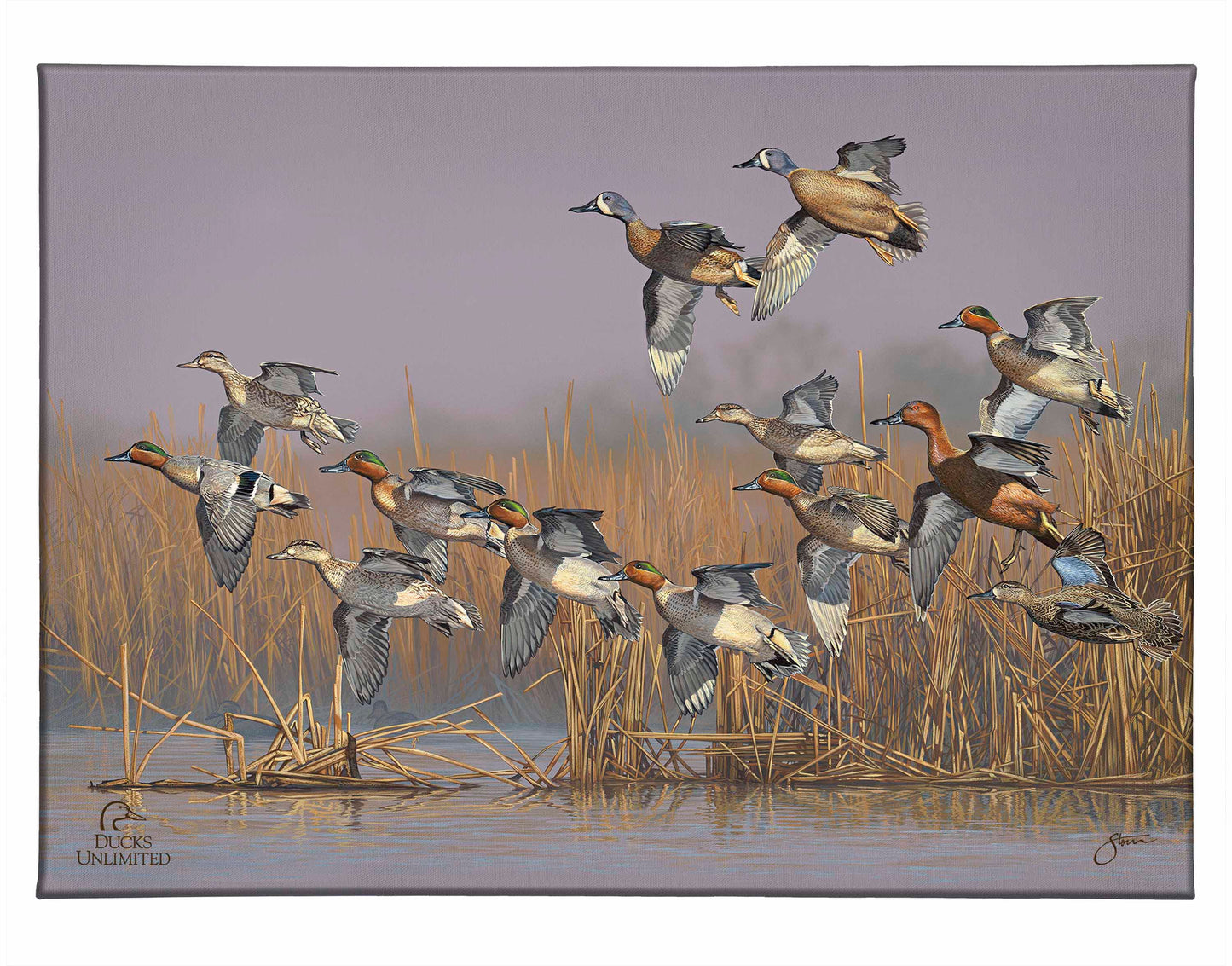 Teal Time Gallery Wrapped Canvas - Official Ducks Unlimited Art