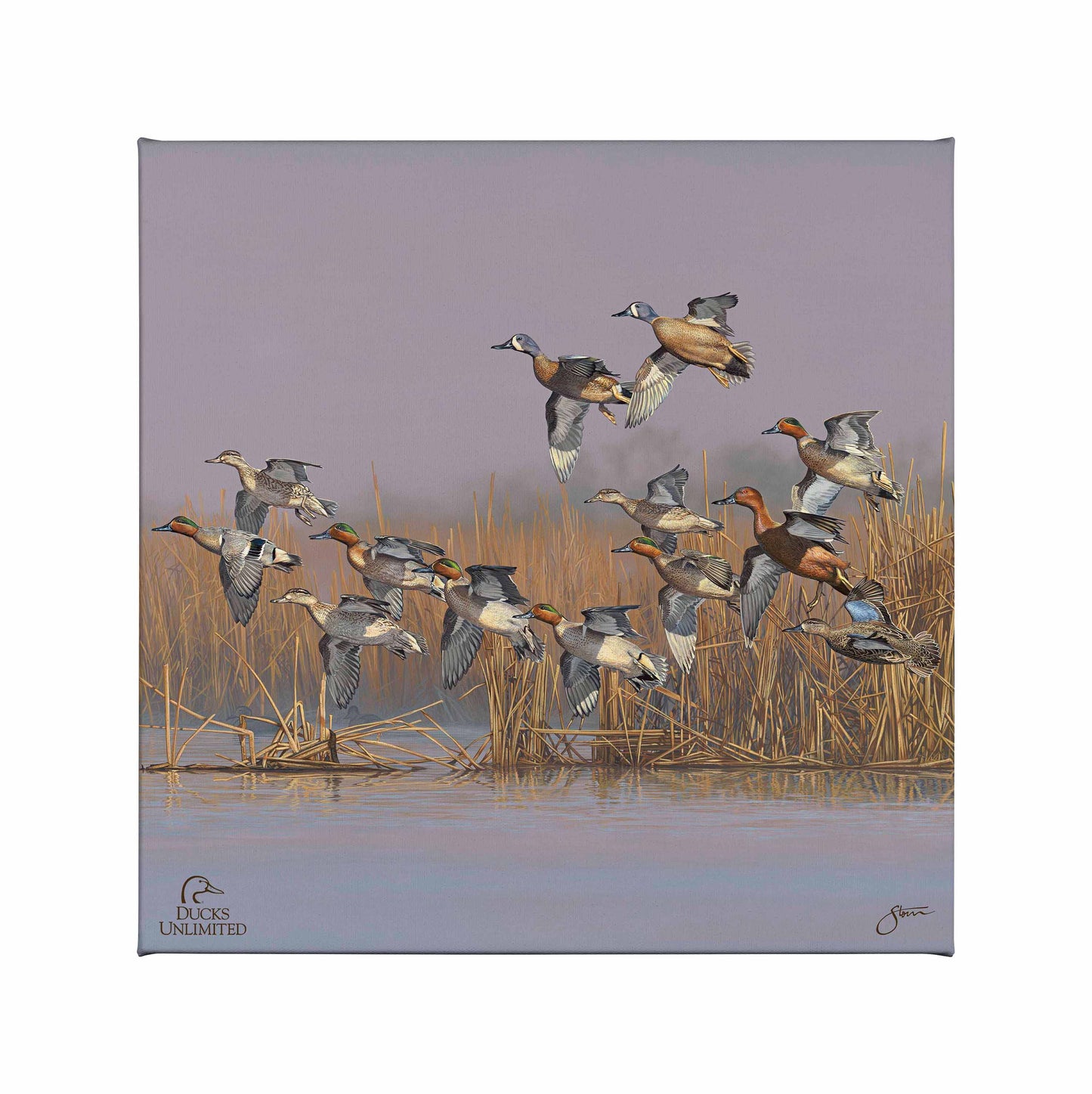 Teal Time Gallery Wrapped Canvas - Official Ducks Unlimited Art