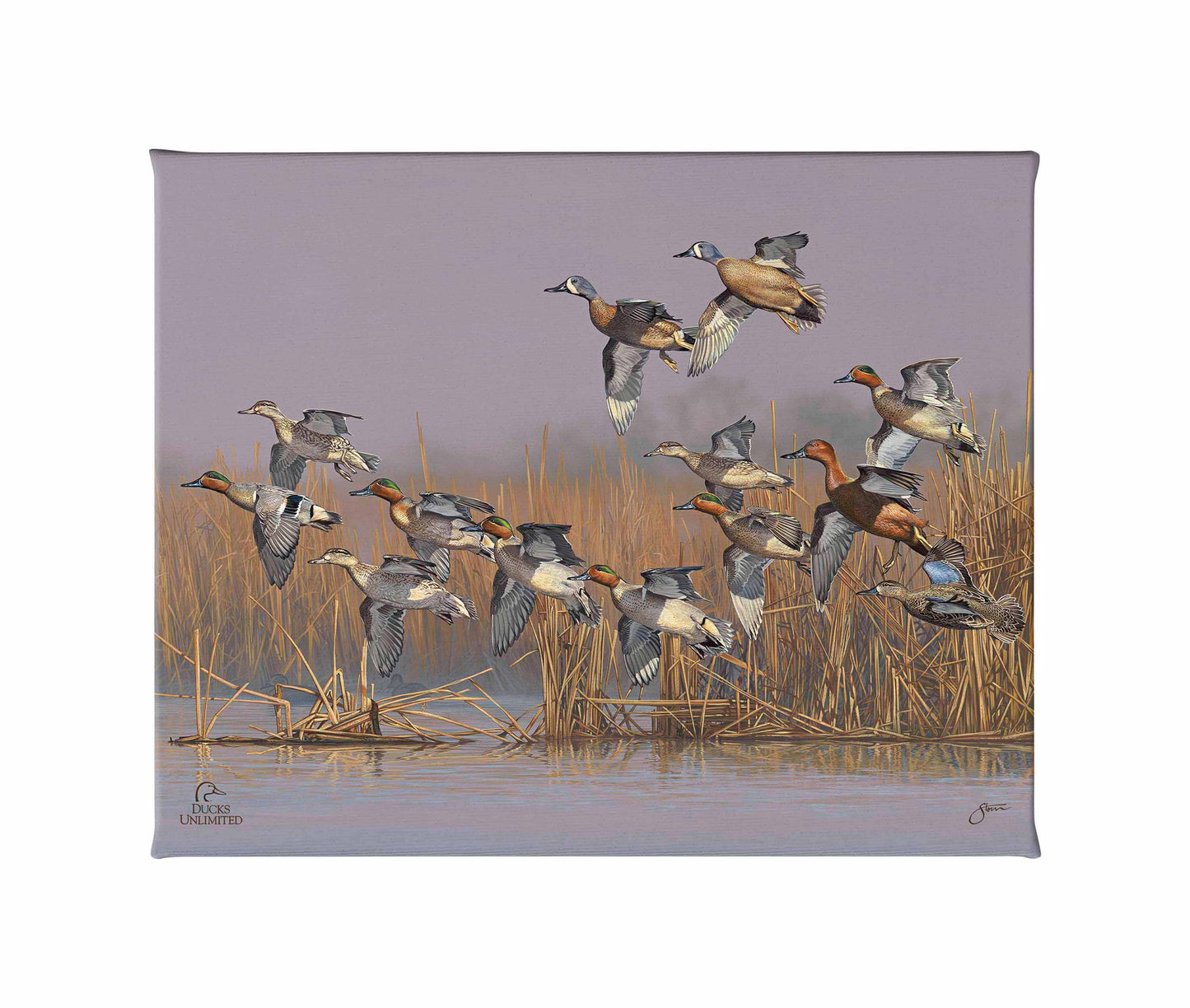 Teal Time Gallery Wrapped Canvas - Official Ducks Unlimited Art