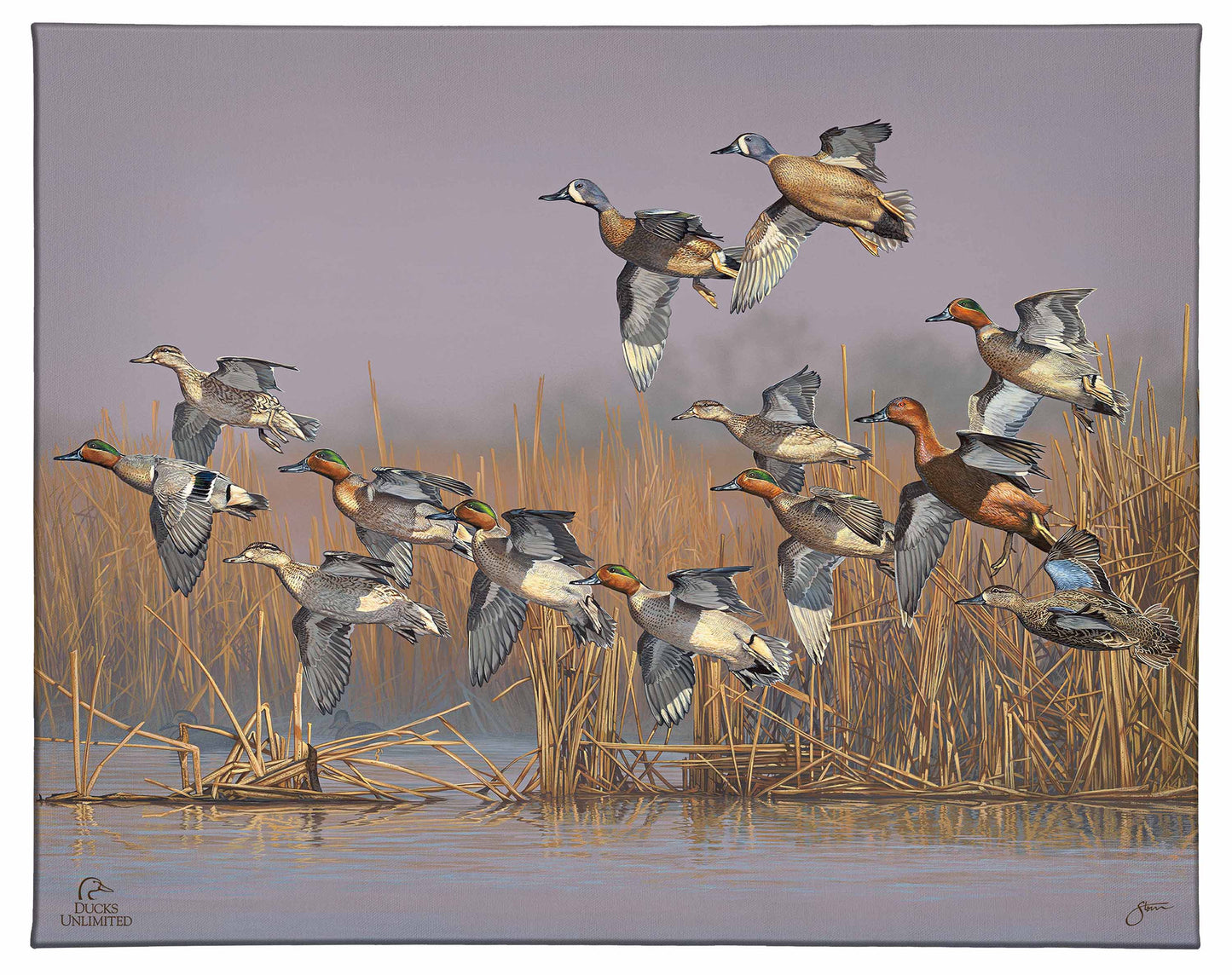 Teal Time Gallery Wrapped Canvas - Official Ducks Unlimited Art