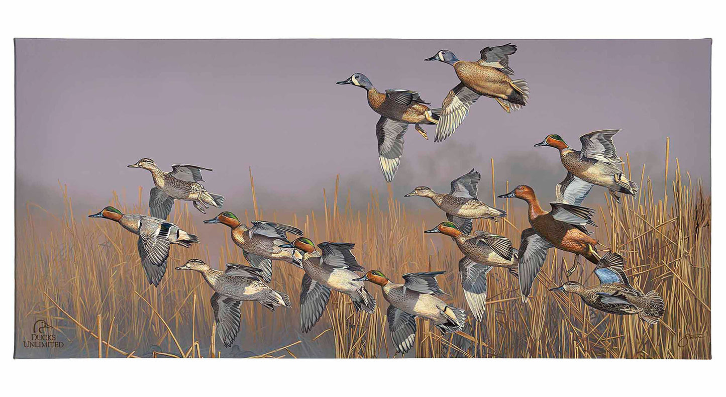 Teal Time Gallery Wrapped Canvas - Official Ducks Unlimited Art