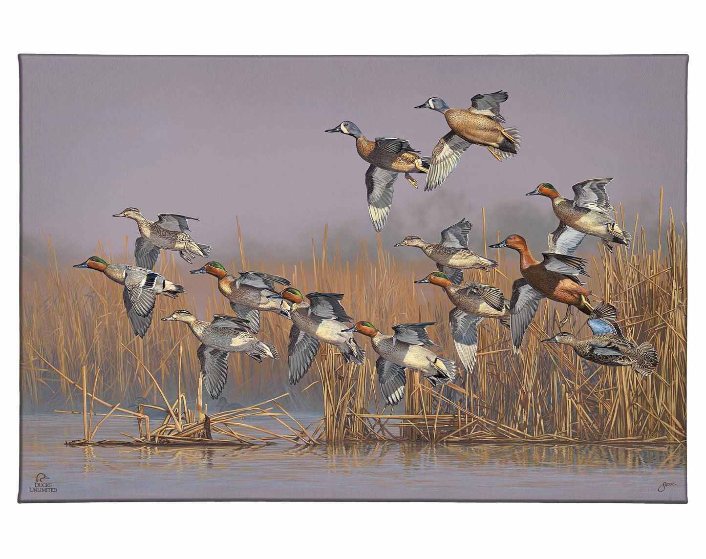 Teal Time Gallery Wrapped Canvas - Official Ducks Unlimited Art