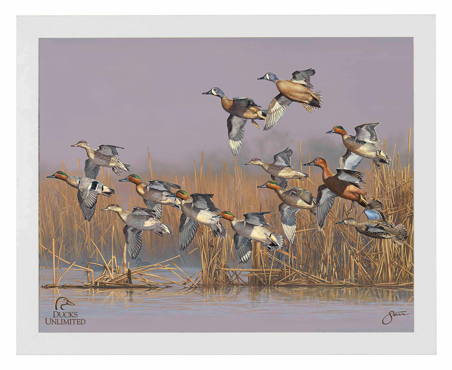 Teal Time  Art Prints - Official Ducks Unlimited Art