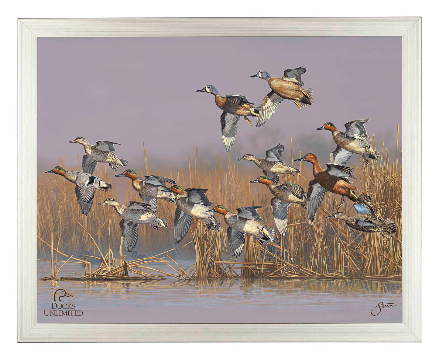 Teal Time  Art Prints - Official Ducks Unlimited Art